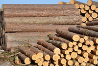 //iirorwxhljpmlq5m-static.micyjz.com/cloud/lkBprKnilkSRoirjpqmqiq/Wood-Industry.png